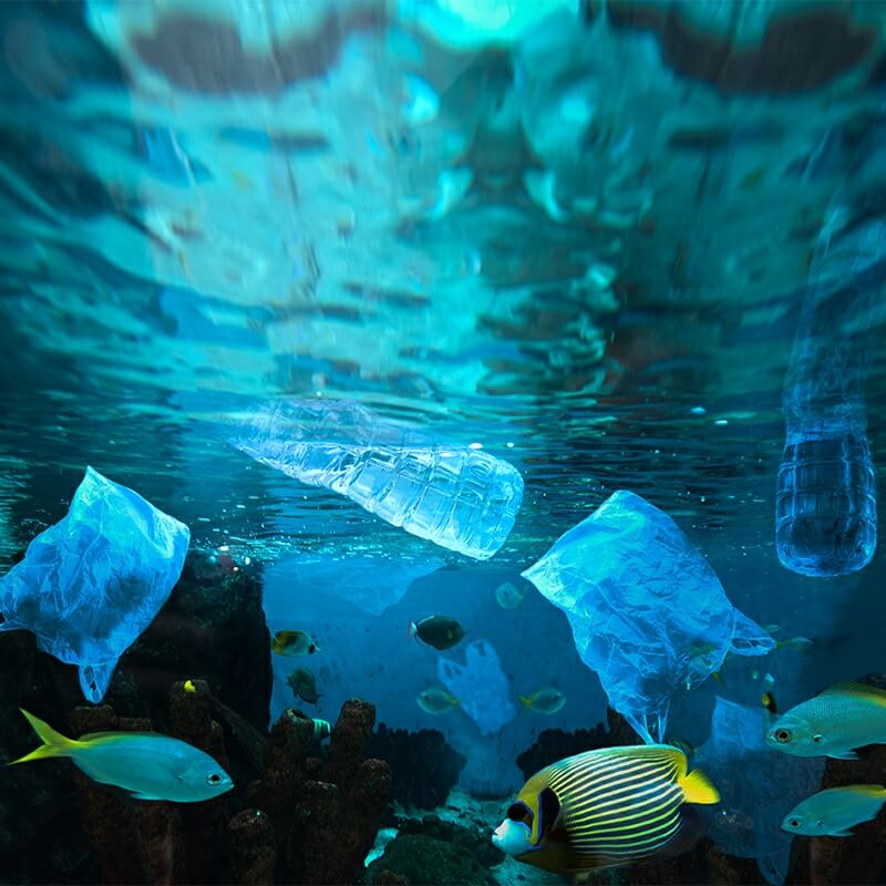 marine plastic waste